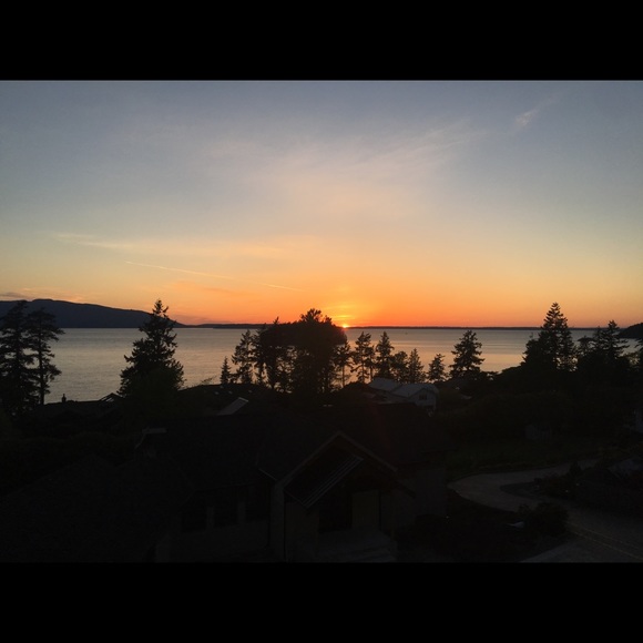 Meet your Posher, Maddy - Picture 1 of 1